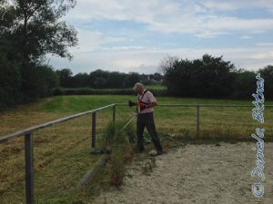 Gebhard kämpft mit dem Gras entlang des Reitplatzes...
