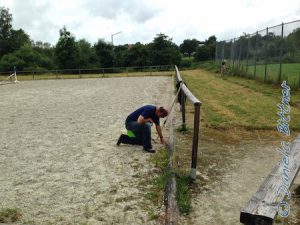 Helmut hat hier ebenfalls dm Gras im Reitplatz den Kampf angesagt.. Christian mäht dahinter das Gras am Zaun ab...