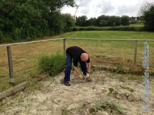 Hier sieht man bei Gerd, wie mühselig es ist, das Gras aus dem Platz zu entfernen...