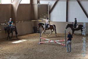 Jana Kleemann auf Anna, Anna Gloning auf Lilli und Lukas Bittner auf Lucy ritten um das Reitabzeichen 10.