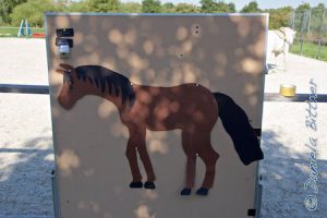 Dieses Pferd soll in einer Station mit Beschreibungen versehen werden. Wo ist die Mähne, der Bauch usw...