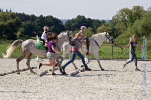 Dort wird aufgesessen und im Trab über Trabstangen ein kleines Stück geritten...