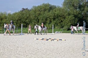 Hier alle drei Pferde... Inga hatte gewitzelt "die Karawane"...