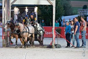 Unter den 5 Fahrern war auch Susanne Habel-Veit, die bei uns auf der Anlage schon mehrere Fahrkurse gegeben hatte. Daneben ist der Parcoursdienst, Martin, Andrea und Leonie und dazu noch Michael Brauchle... Das waren sehr rasante Fahrten...