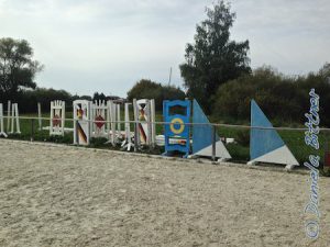 Martin Esdar hat mit einigen Helfern den Reitplatz leer geräumt ... Alle Hindernisse sind nun aus dem Platz draußen...