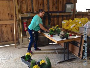 Conny bereitet hier schon den Blumenschmuck vor...