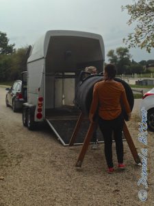 Das erste Pferd kommt auch schon... Amelie und Larissa haben in Neunheim das dortige Holzpferd geholt. Das kommt zum Vorbereiten der Voltis in die Halle...