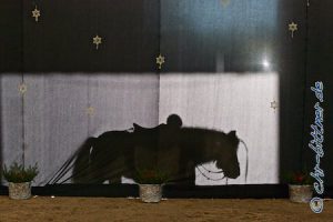 Hinter dem Vorhang sieht man interessante Schattenspiele