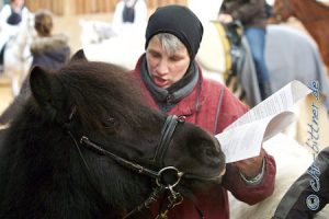Können Pferde lesen? Momo wohl schon, wie Andrea feststellen musste...