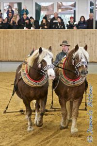 Rainer mit Ronny und Rigo und einem dicken Baumstamm...