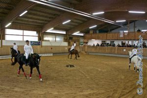 Unsere Quadrillenreiter Inga, Elena, Sandra und Charlotte...