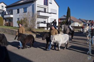 Esdars haben alle vier Ponys mitgebracht...