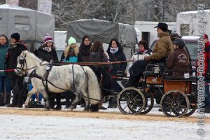 Martin Esdar mit Maren Maier als Beifahrerin auf dem Weg zum ersten Preis bei den Pony-Zweispännern...