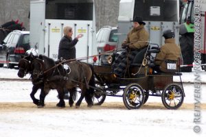 Andrea Esdar mit Dominik als Beifahrer mit einem Gespann von Brigitte Schmid auf dem Weg zum ersten Preis bei den Pony-Zweispännern